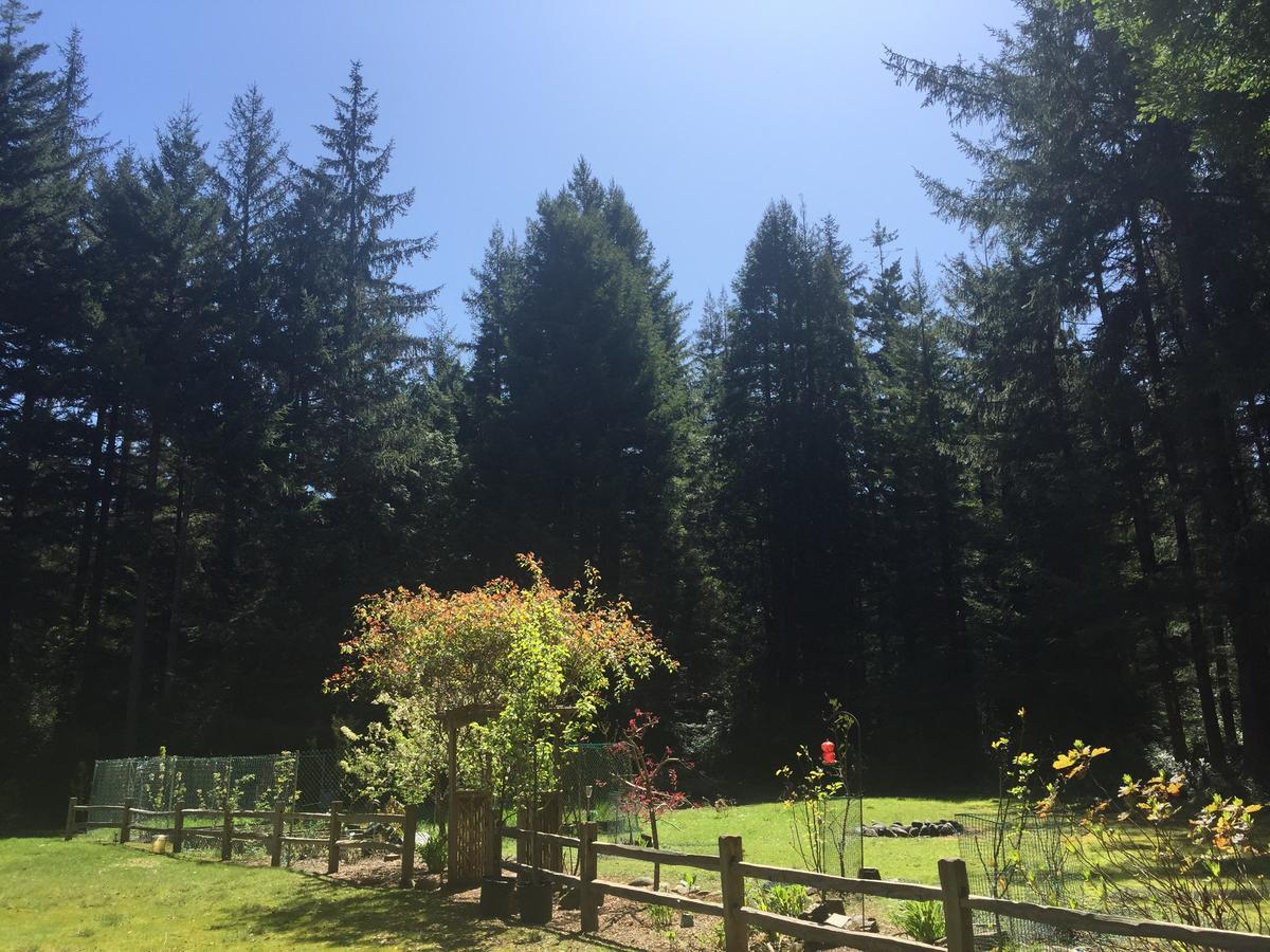 Redwood Forest Кресънт Сити Екстериор снимка
